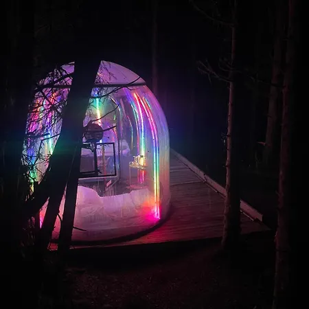 Magical Forest Haven Dome