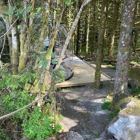 Magical Forest Haven Dome 公寓 卑爾根