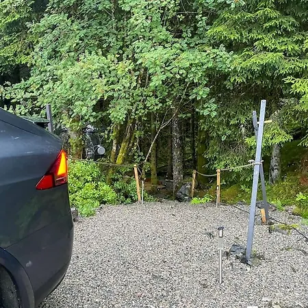 Magical Forest Haven Dome *