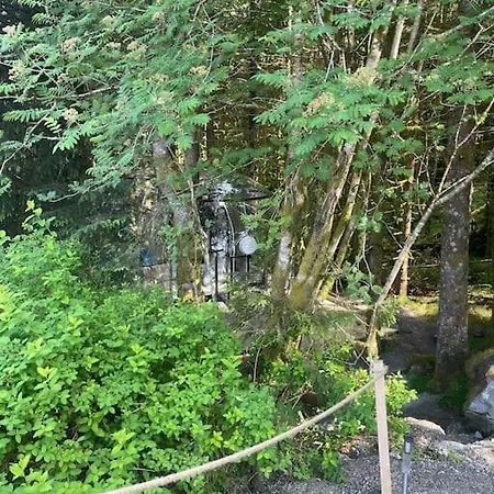 Magical Forest Haven Dome