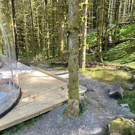 Magical Forest Haven Dome