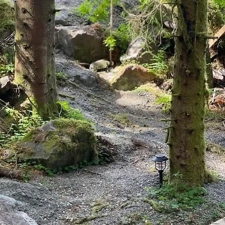 Magical Forest Haven Dome 公寓 *