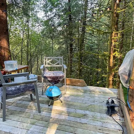 Magical Forest Haven Dome * 卑爾根