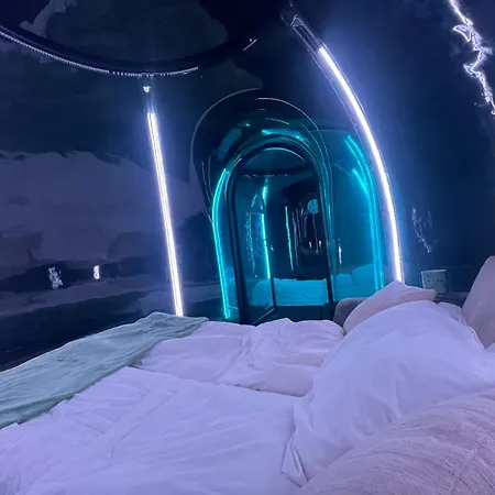 Magical Forest Haven Dome * 卑爾根