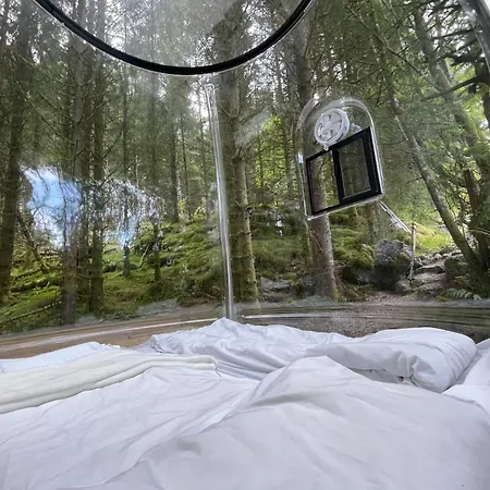 Апартаменти Magical Forest Haven Dome