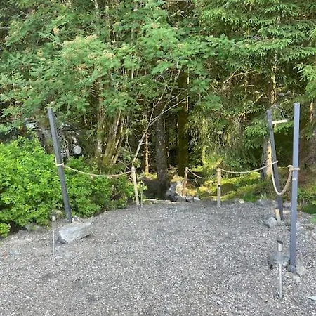 Magical Forest Haven Dome *