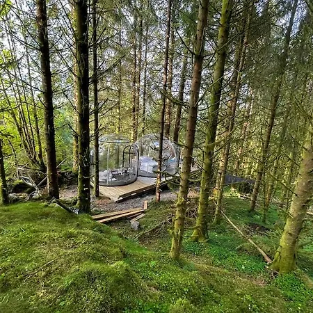 Magical Forest Haven Dome *