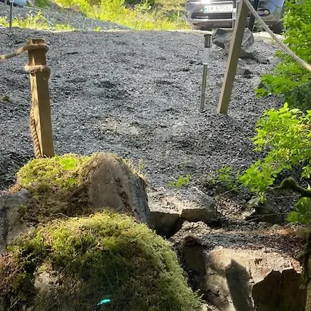 Magical Forest Haven Dome