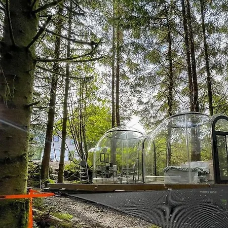 Magical Forest Haven Dome * Берген