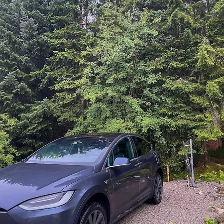 Magical Forest Haven Dome