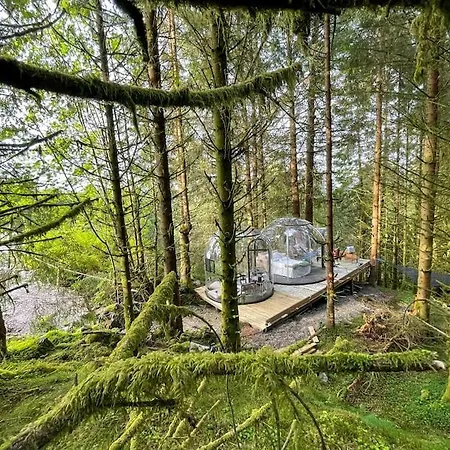 Magical Forest Haven Dome * Берген